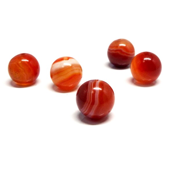 VR T[hIjLXԎ  [RT1-83]